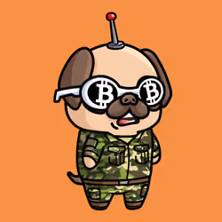 PugFren #8386