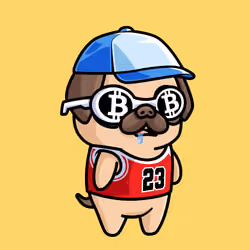 PugFren #6799