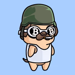 PugFren #4663