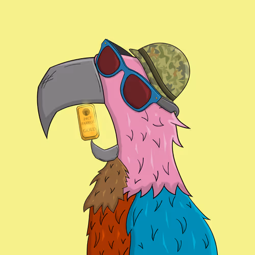 24ct Parrots