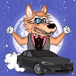 Wall Street Wolf #208
