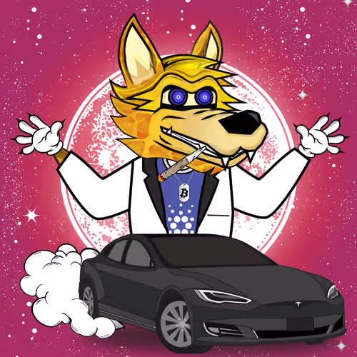 Wall Street Wolf #778