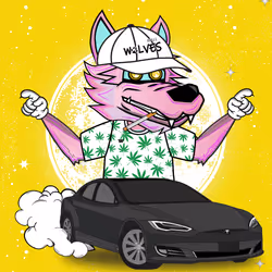 Wall Street Wolf #1284
