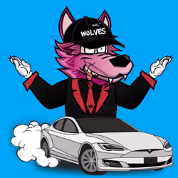 Wall Street Wolf #946