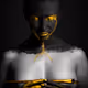 Golden Shapes
