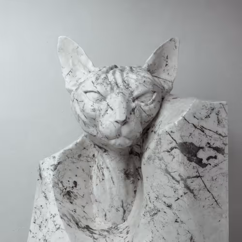 Sphynx Cats Collection