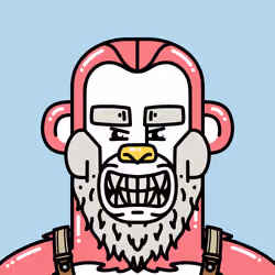 Dubi #2724