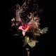 BLOOM Editions