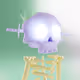 2577
