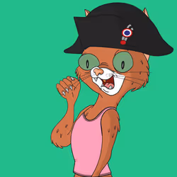 Burglar Cat #338