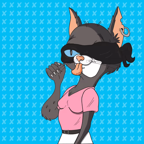 Burglarcatsnft