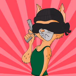 Burglar Cat #351