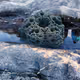 Fractal Encounters