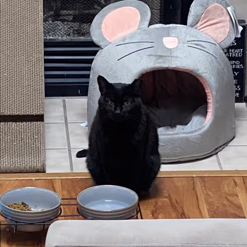 Unidentified contract - U8MUFOZemj