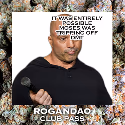 224
