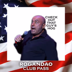 536