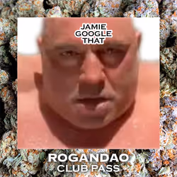 260