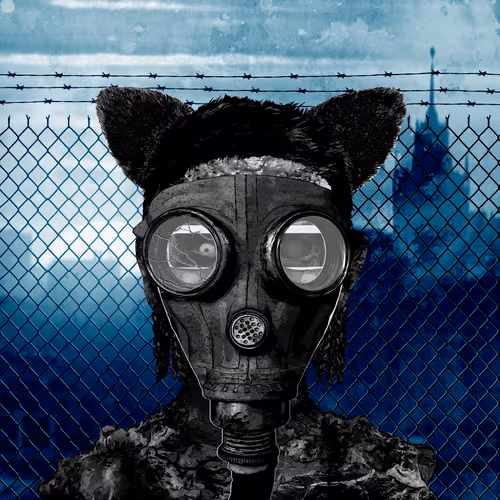 Deadtownzeds
