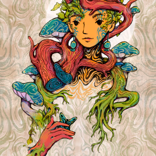 Artifex Collection