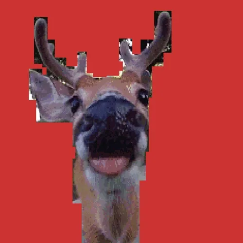 Mintingadvent Burningchristmas