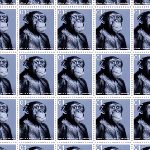 Blue Chimp Collection