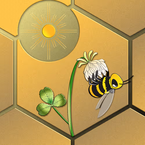 Series X - Nature Geometric