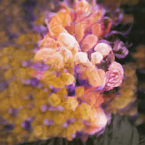 Human Nature #91