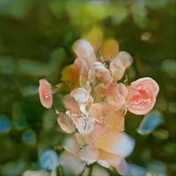 Human Nature #51