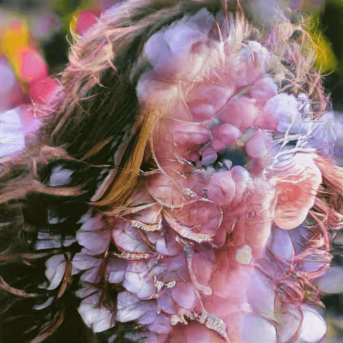 Human Nature By Harry Files