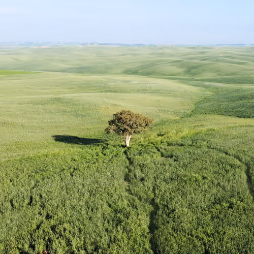 Aerial Travel