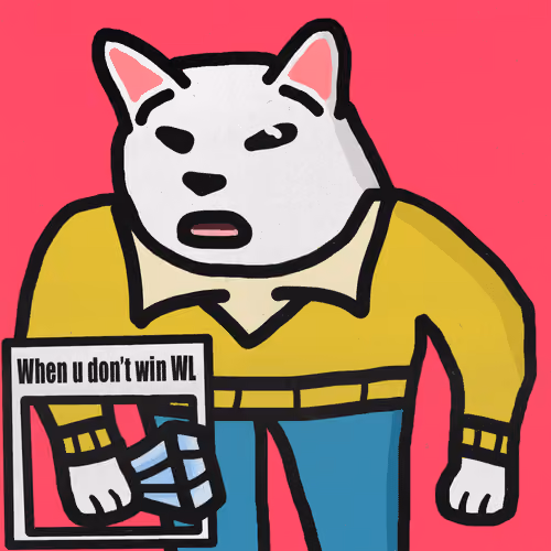 Meme Cats #678