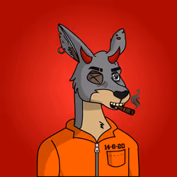 50