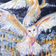 Owls - hX1lcSMNjQ