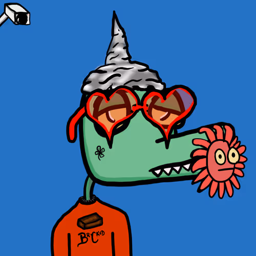 Braincrocs