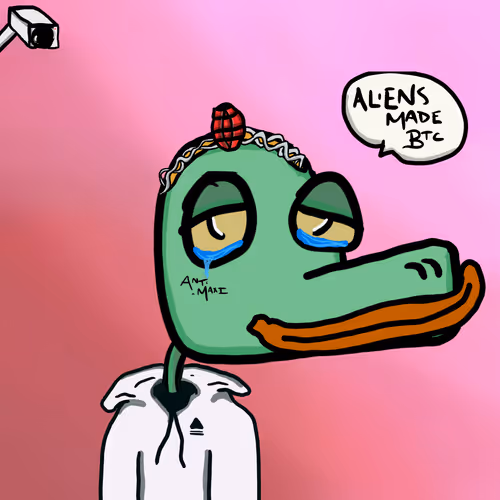Braincrocs