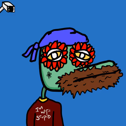 Braincrocs