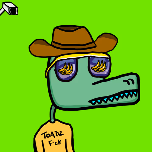 Braincrocs