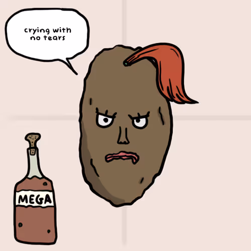 Johnny Depps Amber Turds