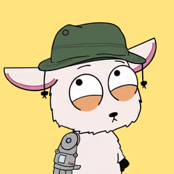 667