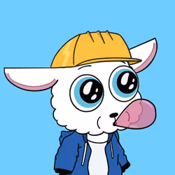 5428