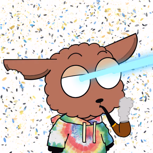 5049