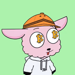 6807