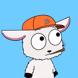 7764