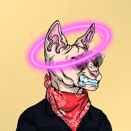 Innocentcats Nft