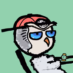 bird mfers #525