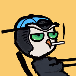 bird mfers #524