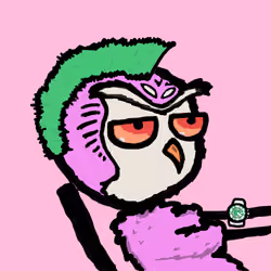 bird mfers #894