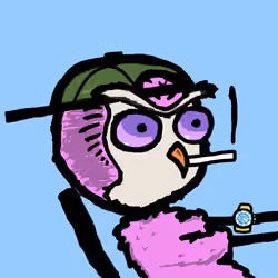 bird mfers #145