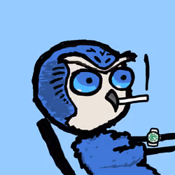 bird mfers #1273