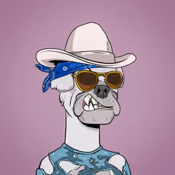Chattanooga Jack "The Virgin" McBigballs